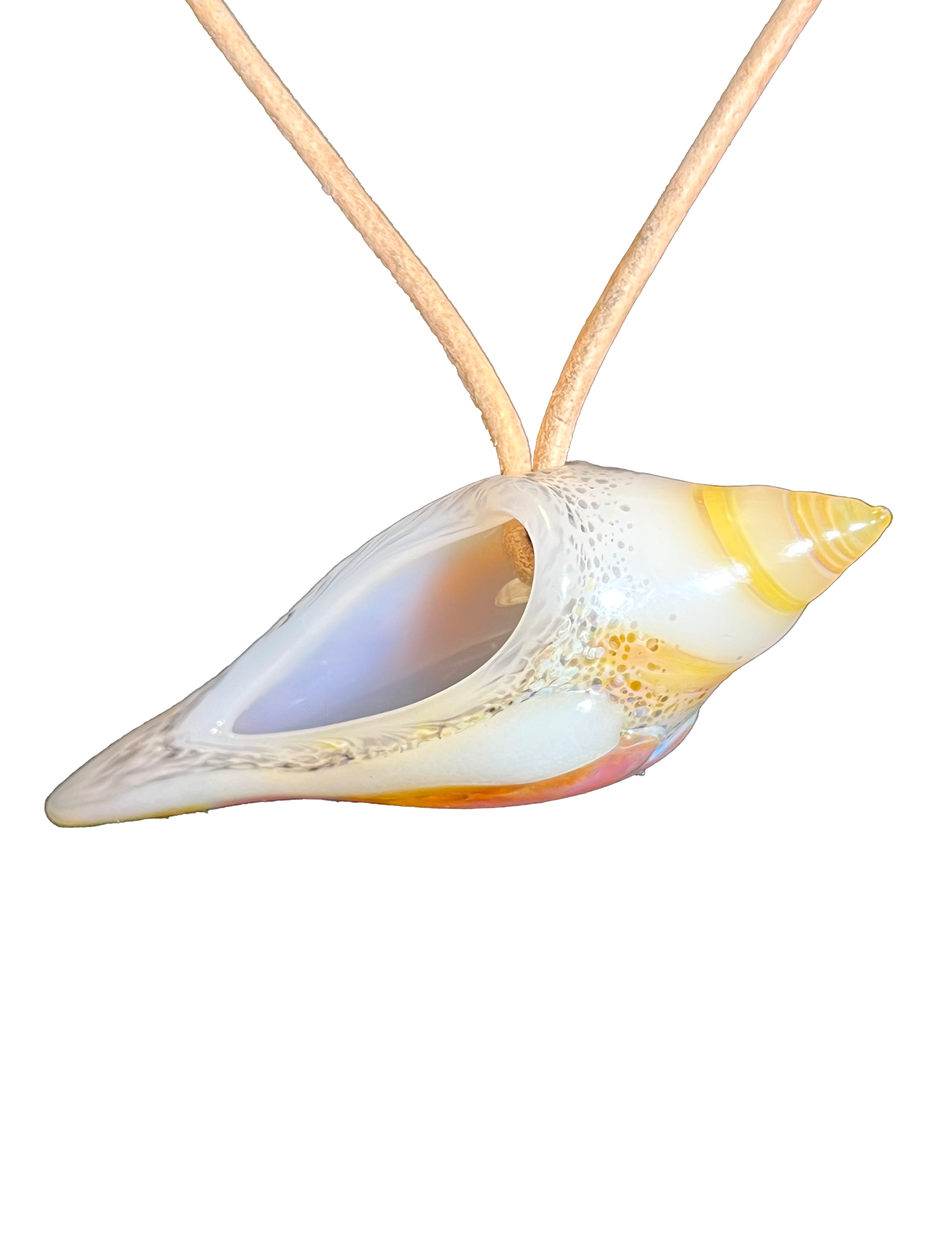 Amber Purple shell